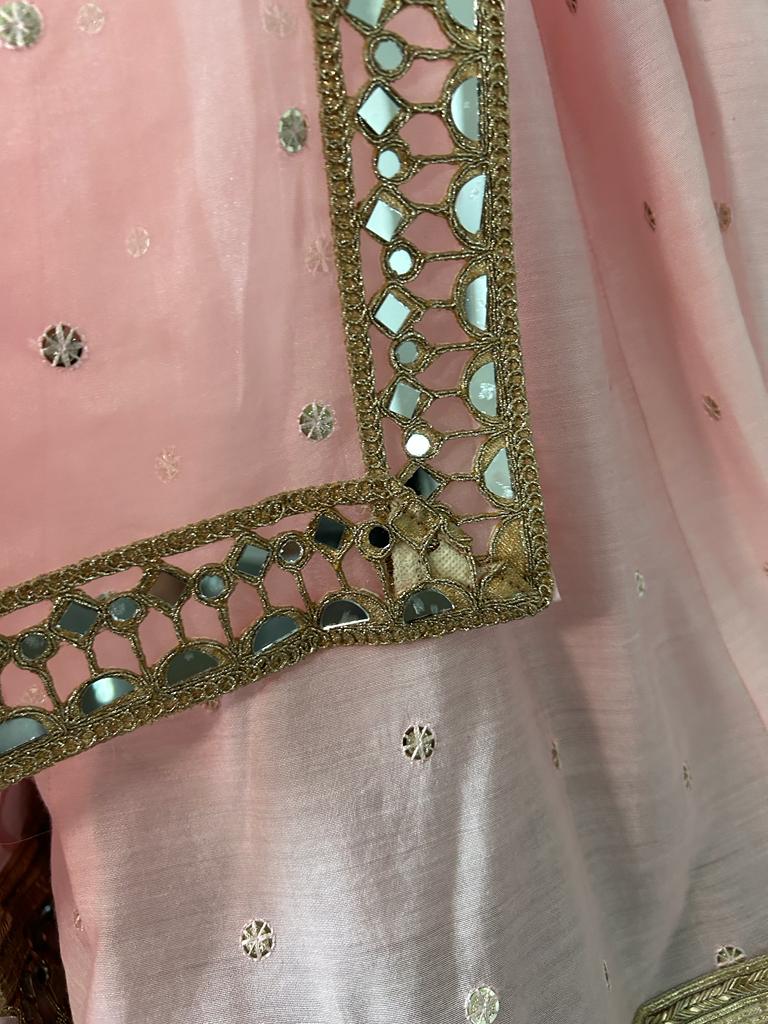 Pink Lehenga  with Powder Blue Blouse and Organza Dupatta