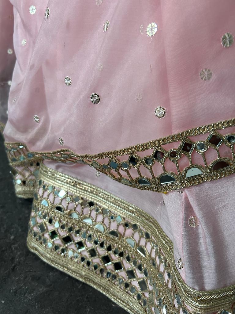 Pink Lehenga  with Powder Blue Blouse and Organza Dupatta