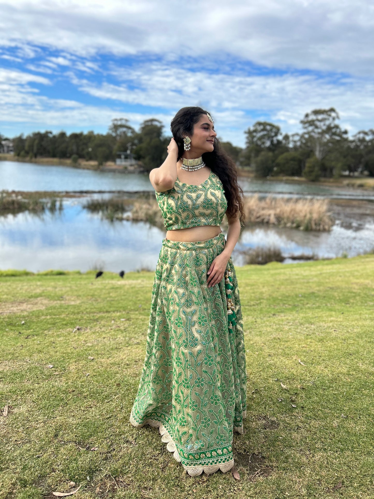 Green and Beige Net Lehenga with Blouse and Net Dupatta