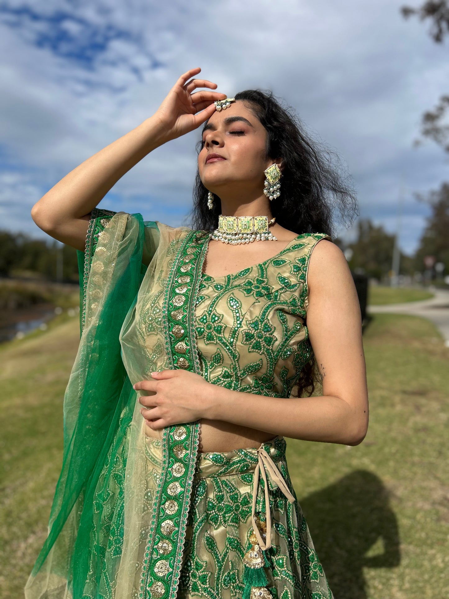 Green and Beige Net Lehenga with Blouse and Net Dupatta