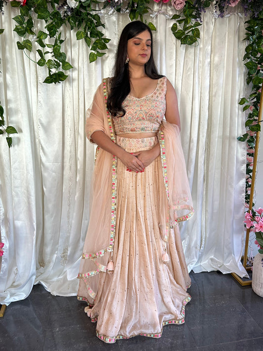 Beige Lehenga with embroidery Blouse and Net Dupatta
